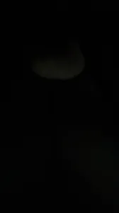 交换视频