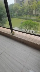 刹那cos，在阳台后入小母狗