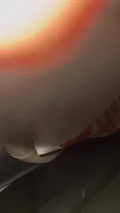 车震多水工厂妹