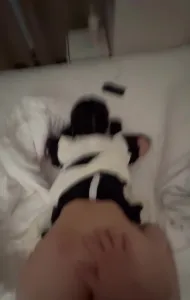 07年18岁小母狗对白清晰后入调教抽搐