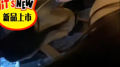 [原创] 帮渝北的炮友还车贷