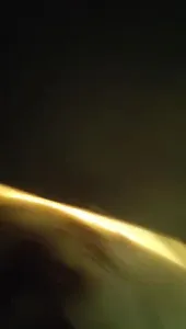 深夜酒店门口开门后入 玩的就是刺激