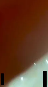 东北名人熟女 少妇