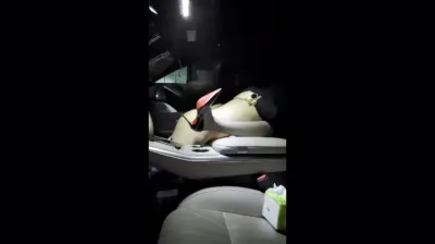 车震灰丝高跟少妇