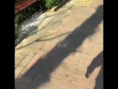 内射情趣旗袍姐女上位