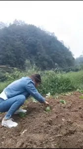 超反差少妇，狠狠后入