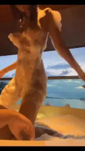 [原创]羊叔猎奇 池中鱼水相依相伴