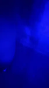 和骚货在私人泳池 水下偷情