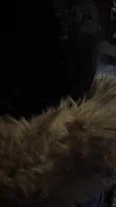 06年大二妹子KTV口爆