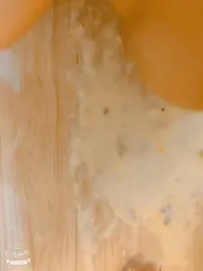 [原创] 浙江背德人妻女M深度调教