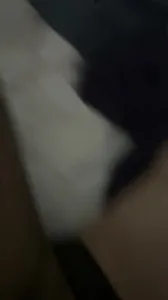 原创03年大学生