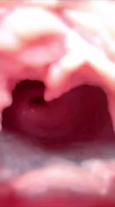 骚母狗展示超级大逼洞