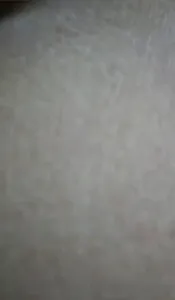 后入青岛肥臀嫩逼黑森林