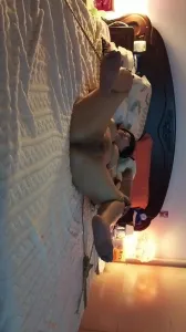 骚逼母狗被绑在床上露脸内射反抗不能