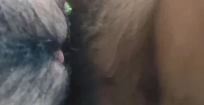 青岛嫩逼黑森林，背后无套抽插扭摸欢乐豆（一）