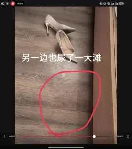 猛艹一小时，敏感高潮少妇最终章，黑丝情趣高跟，高潮喷尿（第一部）