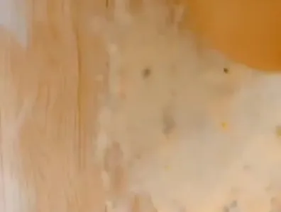 清明假期玩母狗畜牲