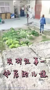 农村性事-邻居的儿媳