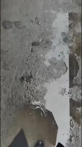 【原创自拍】山东地区研姐的偷情日记 无套内射