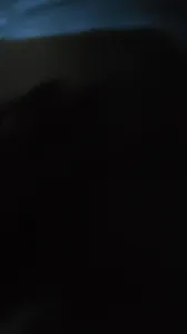 后入大屁股人妻