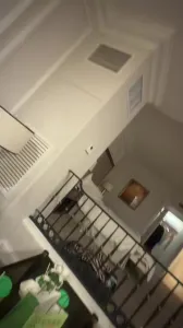 三只小母狗 一个被操穴 两个舔jb