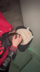 楼梯间深喉口爆07年母狗（0434地区交流交换）