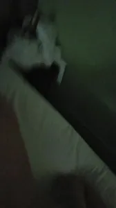 带老婆来重庆玩了，前五秒是生活实际样子，回酒店就先泻火