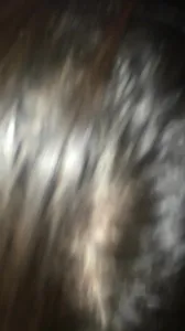 湖北襄阳大鸡巴操人妻