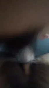 插骚逼人妻