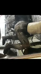 喜欢吃精液的长春博士母狗