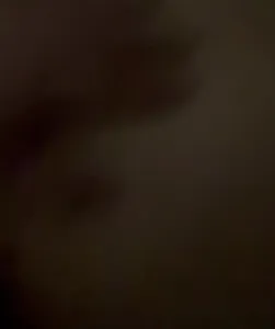 夫妻找单