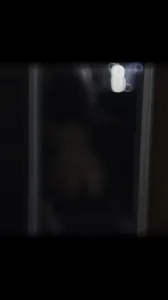 与女友的性爱日记