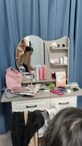 晃动的奶子
