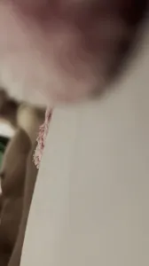 继续草熟女