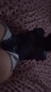 后入巨臀