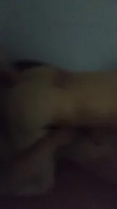 保定爆操绿帽妻