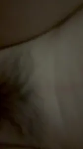 粤A的激情一刻