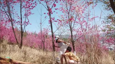 昆明野战搭子