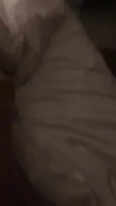 母狗，你会求饶吗？