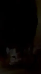 试试常州咯咯哒的口活