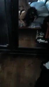 丰硕的肥臀  骚浪的淫妻 激情的性爱 只求被真男人插再深一点