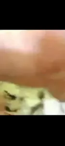 小夫妻