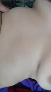 白虎姐又来了