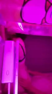 武汉良家学妹超骚简历可约