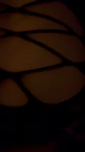 依旧全自动 拍的不清