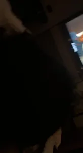连云港跑来的小母狗