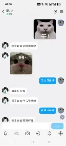 沧州母狗2
