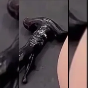 终于适应这个大玩具了，看了屁穴，有没有人想操我
